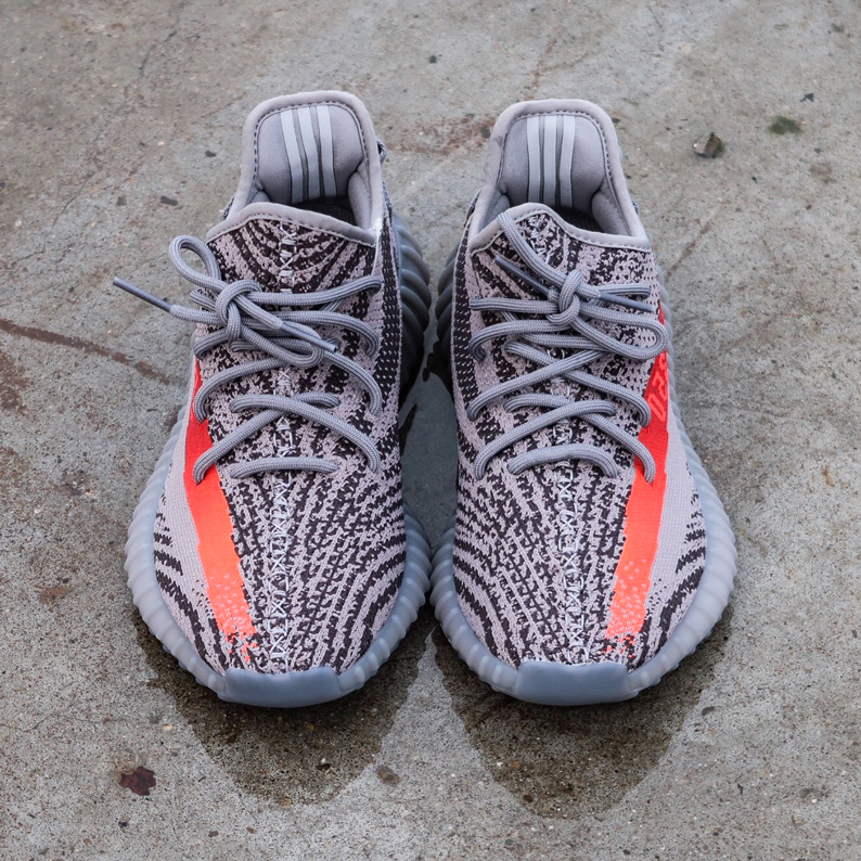 beluga 3.0